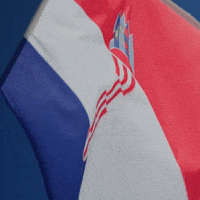 Croatian Flag Croatia GIF by FIA World Rally Championship