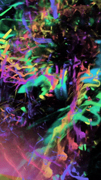 Happy Party GIF by Mollie_serena