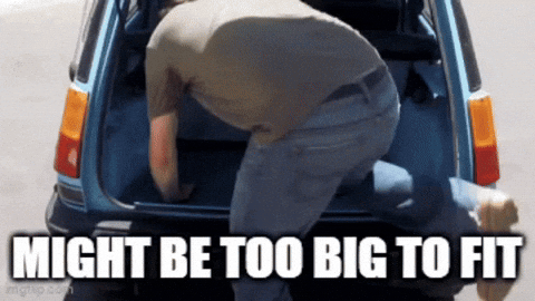 VadaVaultgirl  GIF