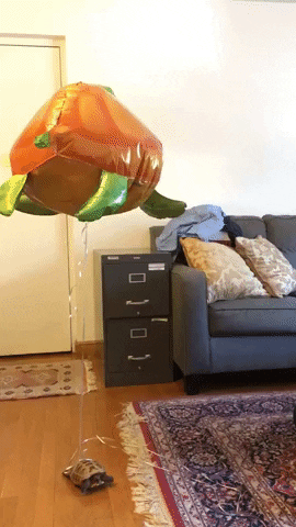 madmoizelledotcom giphyupload GIF