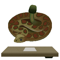 Rattle Snake Sticker by onmilwaukee