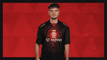 Mainz 05 Hello GIF by Bundesliga
