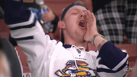 hockey fan GIF by Greenville Swamp Rabbits
