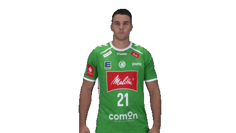 Handball Gwdminden Sticker by GWD Minden Handball-Bundesliga GmbH & Co.KG