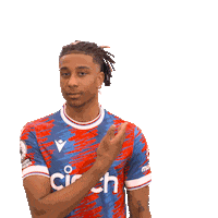 Premier League Sport Sticker by Crystal Palace Football Club