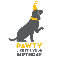 Pawty Sticker by MUTTS Canine Cantina