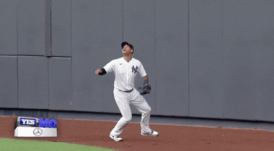 New York Yankees Baseball GIF by Jomboy Media