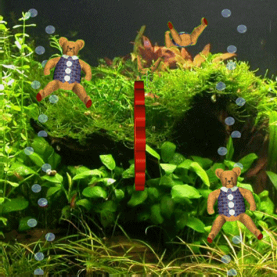Rejected Under Water GIF