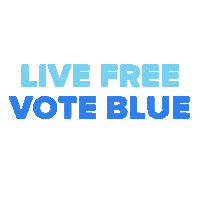 Voting Election Day Sticker by New Hampshire Democratic Party