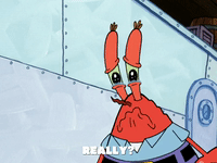 season 5 GIF by SpongeBob SquarePants