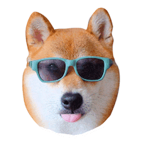 adlibfashion valentinesday shiba pjai Sticker