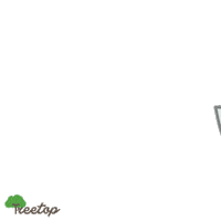 Holiday Boat Sticker by Life In Treetop