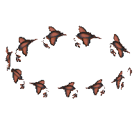 伊林娛樂 Sticker by EELIN伊林娛樂