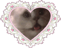 Valentines Day Cat Sticker