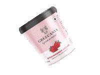 Greecania strawberry greek ice-cream greecania Sticker