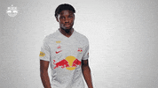 Football Sport GIF by FC Red Bull Salzburg