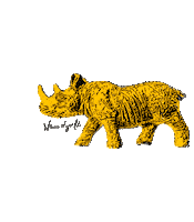 trianamendozagallardo rhino witness rinoceronte triana mendoza Sticker