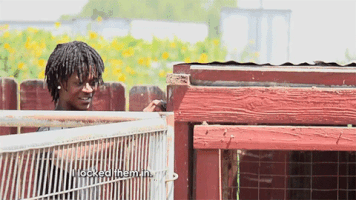 shaunies home court GIF by VH1