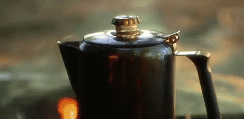 south carolina GIF