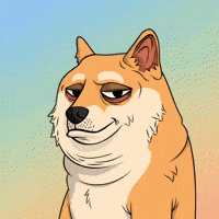 Judging Shiba Inu GIF by Doge Pound