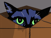 whiskykatr  GIF