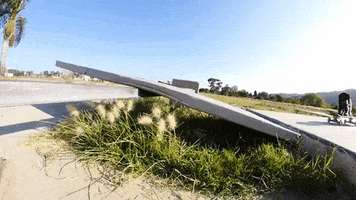 Dogs Skateboarding GIF by jOnNy'S wOrLd