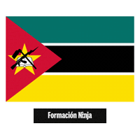 Flag Bandera Sticker by Formación Ninja
