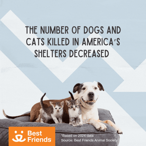 Adopt Best Friends GIF by Best Friends Animal Society