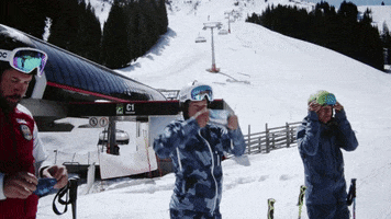 mysoggle ski goggle skibrille soggle GIF
