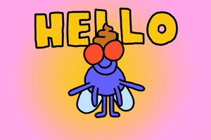 Hi Hi