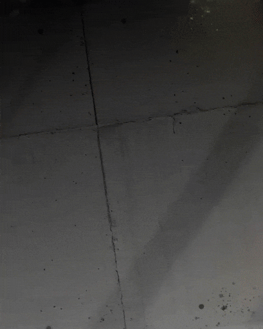 Vasco Da Gama GIF