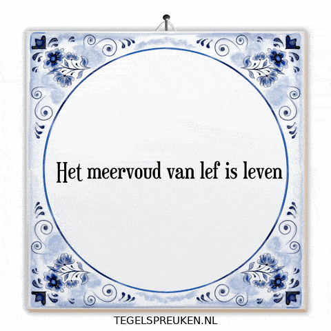 Humor Wijsheid GIF by Tegelspreuken.nl