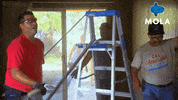 Art Living GIF by MolaTV