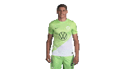 Happy Football Sticker by VfL Wolfsburg