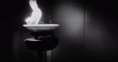 GIF by Fandor