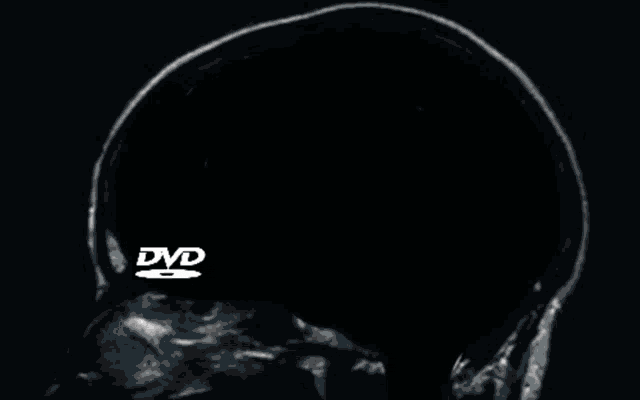 lucyfurnice giphyupload brain empty empty brain GIF