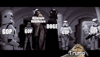 Elon Musk Trump GIF