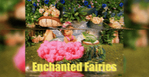 enchantedfairies giphygifmaker enchanted fairies GIF
