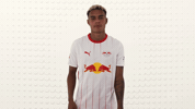 Rb Leipzig Love GIF by Bundesliga