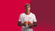 Love You Heart GIF by RB Leipzig