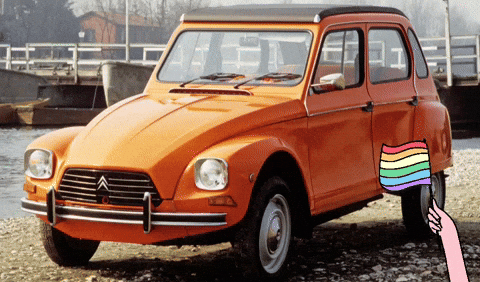 raulfranceschi giphyattribution dyane GIF