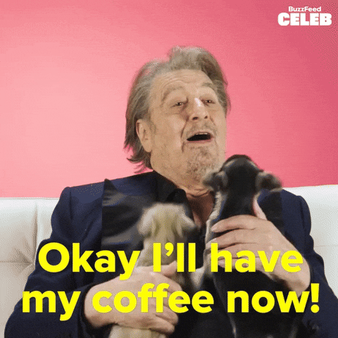 Im Ready Good Morning GIF by BuzzFeed