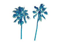 Palm Trees Sticker by HBO Max
