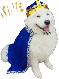 King Lord Sticker