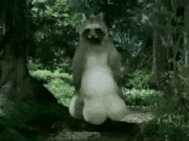 karma comment GIF