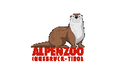 Otter Sticker by Alpenzoo Innsbruck