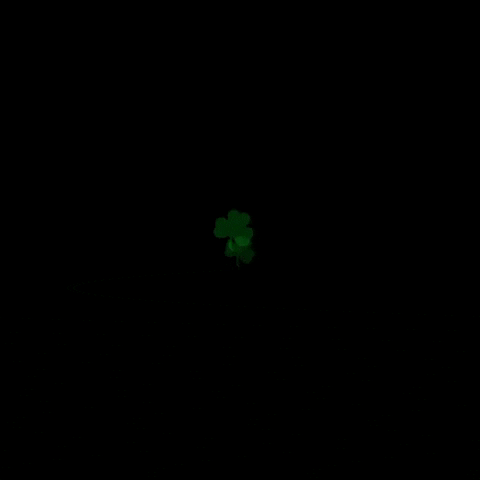 FightingIrish irish notre dame shamrock notre dame football GIF