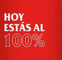 Amstel_ES beer ok perfect well done GIF