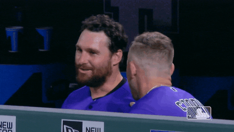 major league baseball sport GIF by MLB