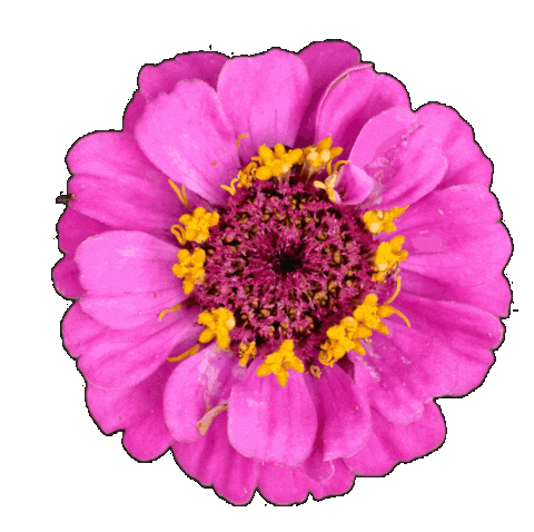 Flower Rotating Sticker